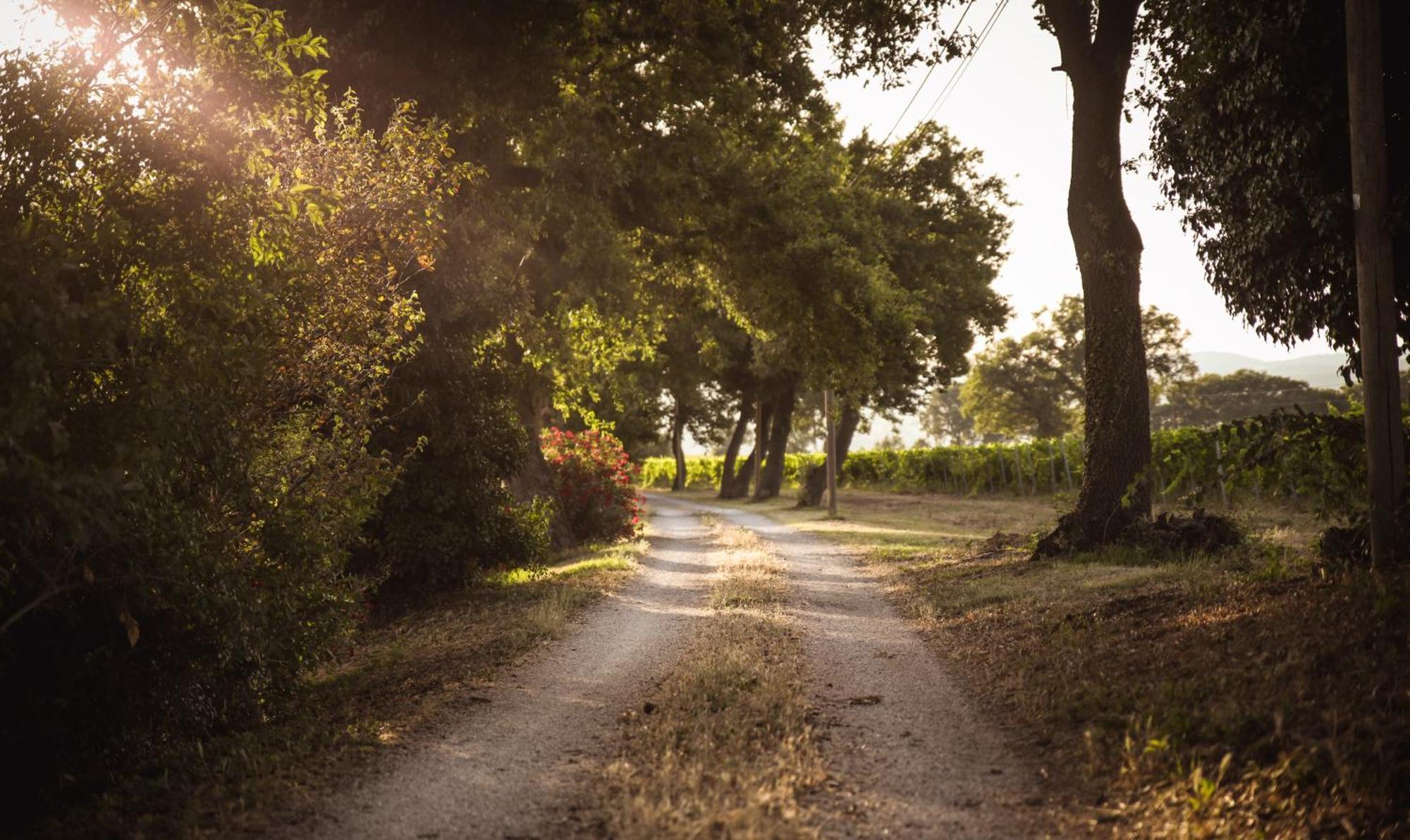 Agriturismo La Vecchia Quercia Монтемерано Екстер'єр фото