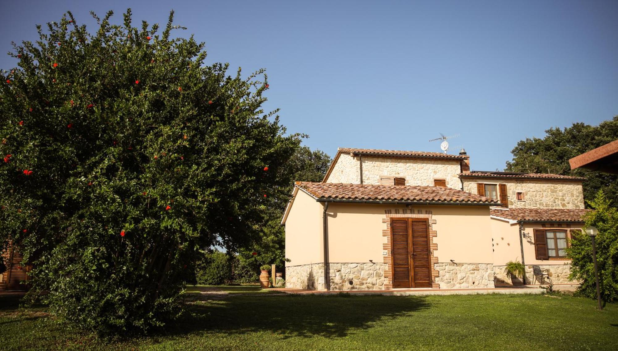 Agriturismo La Vecchia Quercia Монтемерано Екстер'єр фото